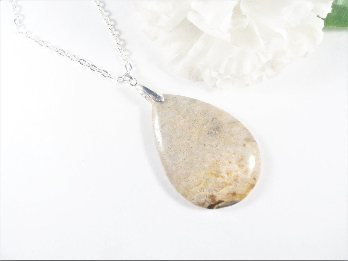 valroseshowers's tweet image. Beige Necklace - Chrysanthemum Stone Pendant - Coral Fossil Agate Stone - Grounding Medallion - Popular Right Now - Gifts under 20 for Her etsy.me/383HT6M #pottiteam #FossilStone