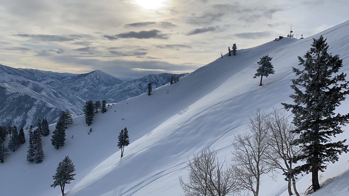 paul frandsen tweet media