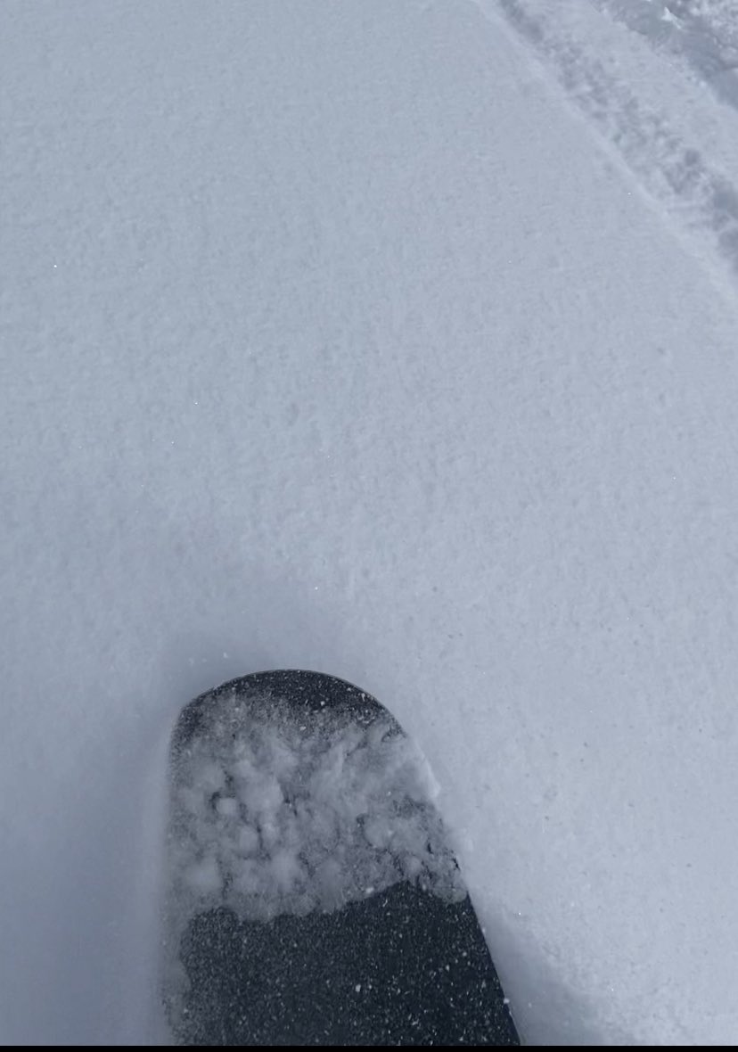 paul frandsen tweet media