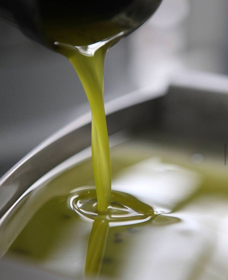 AASommeliers's tweet photo. 📢Nueva #MasterclAAS junto a @zuccardii , quien hablará sobre: "Aceite de Oliva: Diversidad varietal y productiva". El moderador será @MartinLukesch. 28 de enero a las 17hs.
💻Inscripciones para socios: administracion@aasommeliers.com.ar
#ContenidosAAS #EstAASencasa https://t.co/MaASFJIVOA