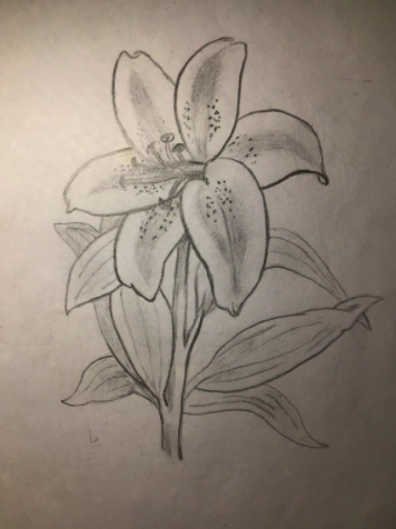 SouthCravenSch's tweet photo. Some of our students have been studying perspective and shading techniques as part of their 'Drawing Like a Designer' project in Design and Technology - here are a few fantastic examples from students Isy, James, Klaudia, Lola and Ollie! #exploredesigncreate https://t.co/FYAQ1bz4GX