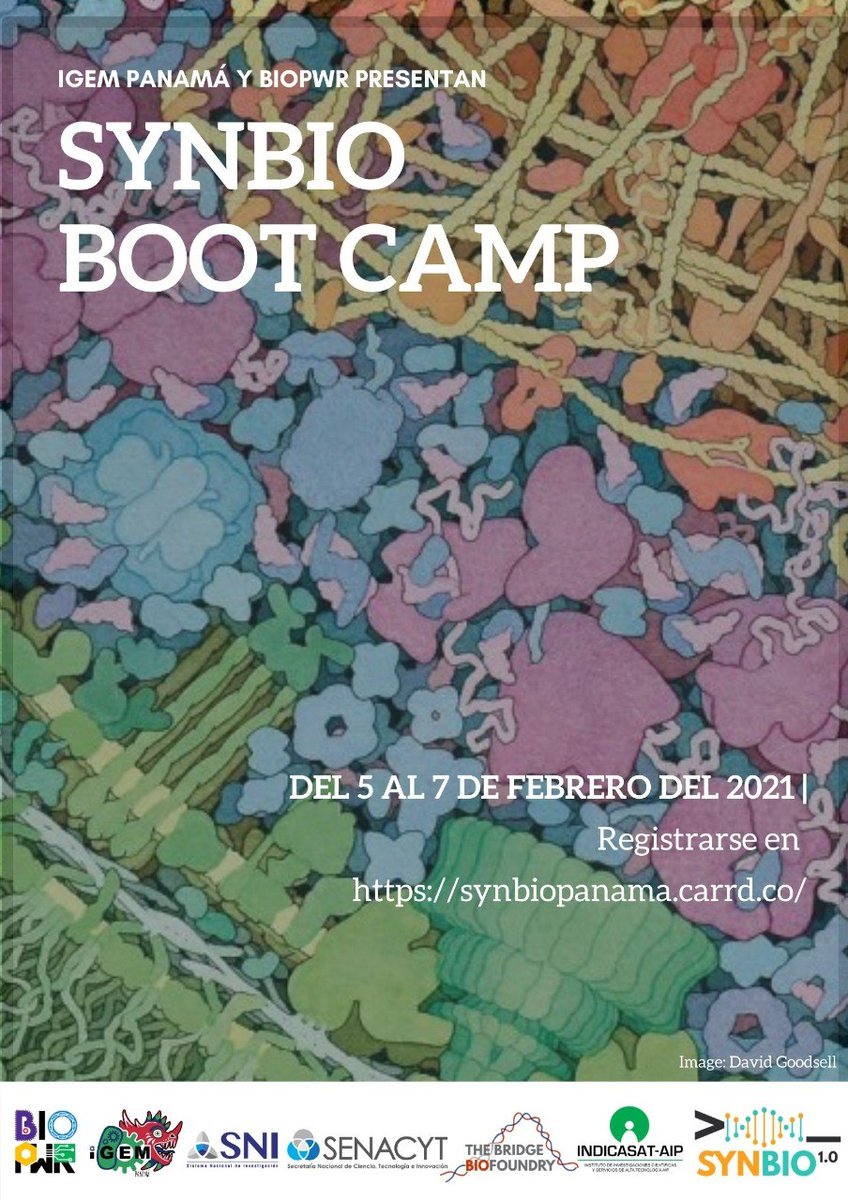 senacyt's tweet photo. Les invitamos a participar del Boot Camp de Diseño de Circuitos Genéticos y Biología Sintética, organizado por  @BioPwrPA  y @igempanama.

Podrán registrarse utilizando este link: https://t.co/uqqIERDhaM  
Para mayor información acceder a la página web https://t.co/H8WKM7HS3A https://t.co/Tet24ONVCS