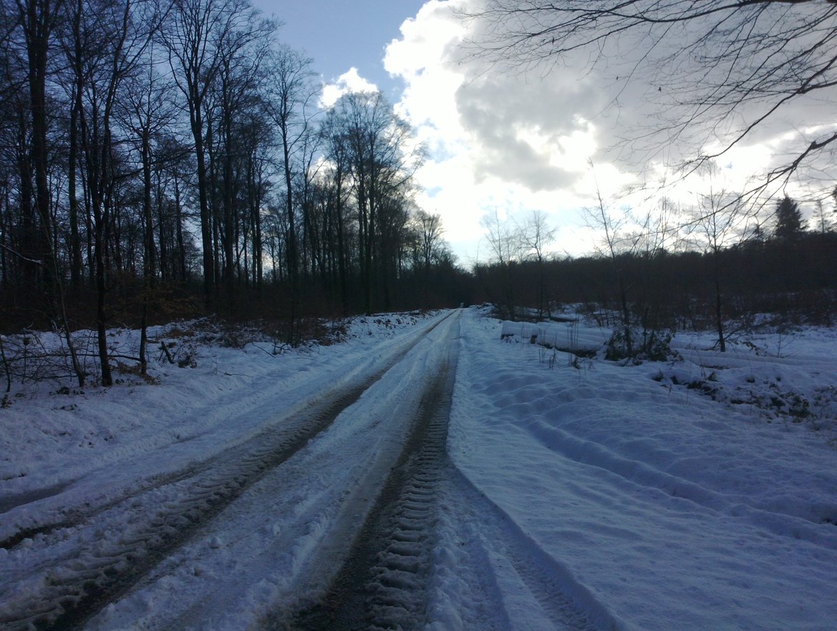 bsost_Brendon's tweet photo. Beautiful & fun ride through the snow to town, some odd gear slippage, but a respectable 10km, 35mins, 😀
Depart Supermarché, gear slippage more of a clunk, plastic component of derailleur sheared, clearly too cold. 10km back a 110min trek, not so good timing. #MTB #VTT https://t.co/61r0eAoLej