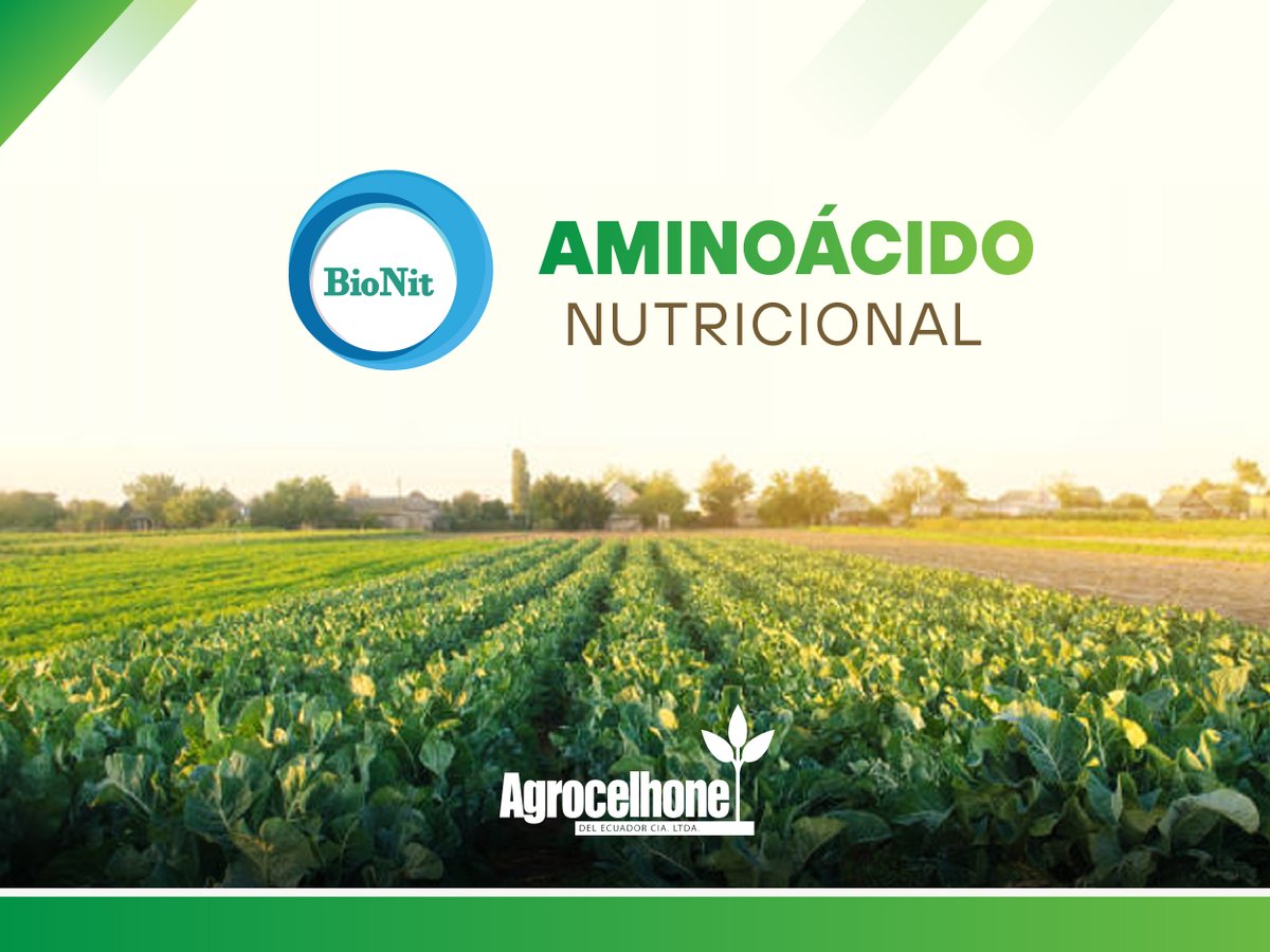 Cultivos saludables y resistentes con nuestro producto estrella #Bionit, rico en aminoácidos y nitrógeno orgánico. 🌱 Descárgate la ficha técnica a través del enlace: ecuacelhone.com/nuestros-produ…

#AgrocelhonedelEcuador