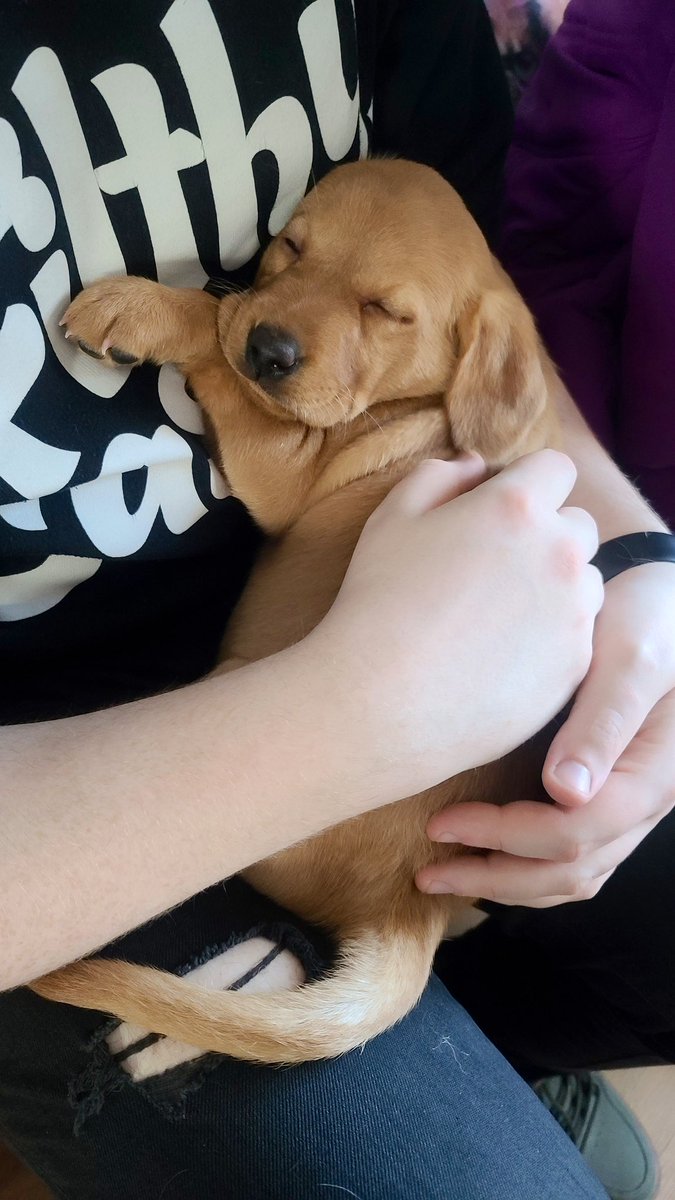 Steven 🏴󠁧󠁢󠁳󠁣󠁴󠁿 tweet media