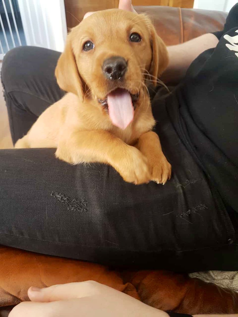 Steven 🏴󠁧󠁢󠁳󠁣󠁴󠁿 tweet media