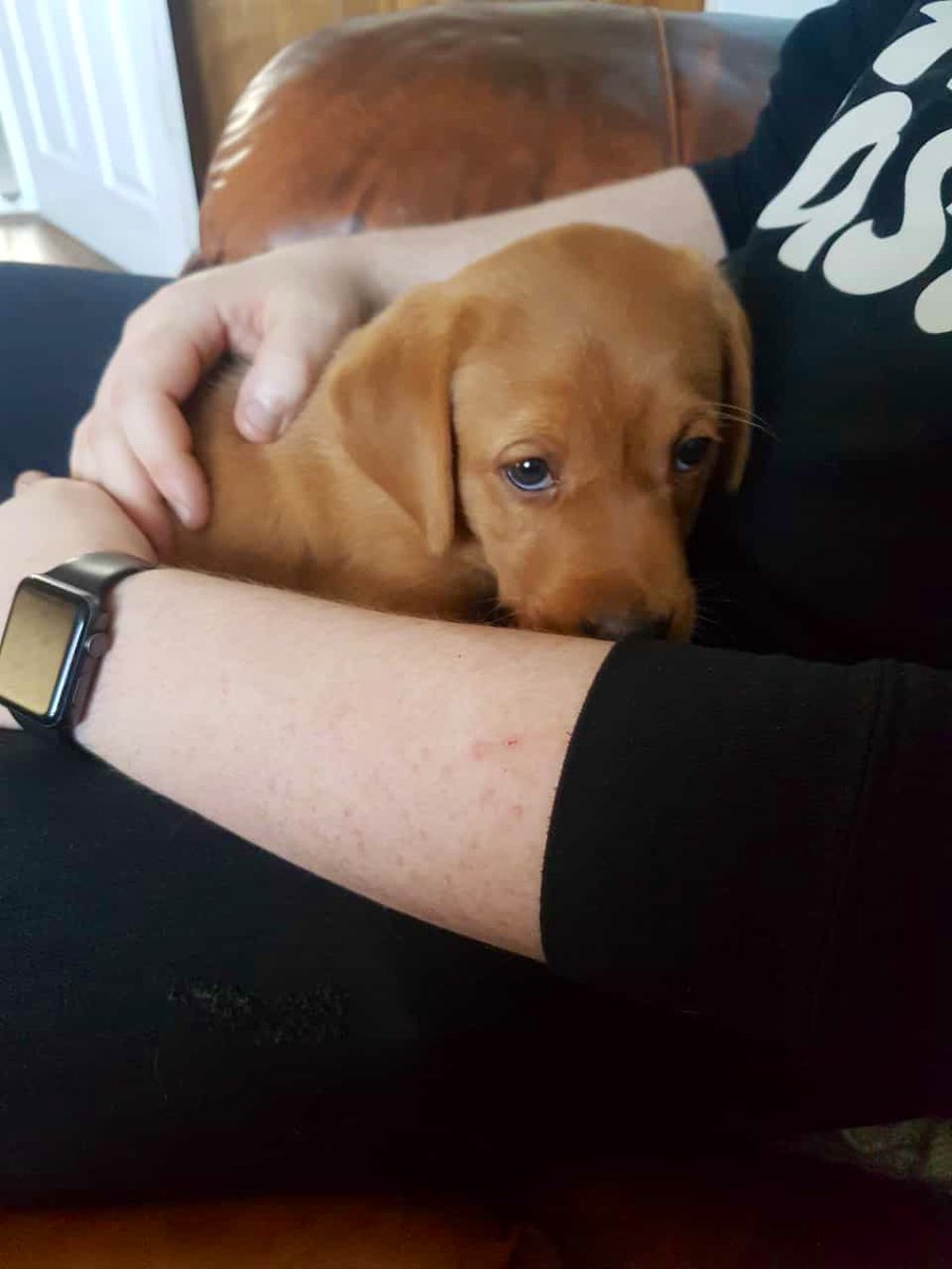 Steven 🏴󠁧󠁢󠁳󠁣󠁴󠁿 tweet media