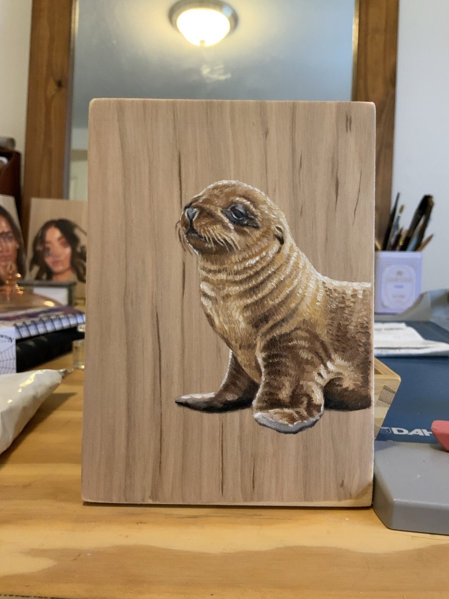 caitlin_mcmena's tweet photo. Hoping this little guy will make you smile🦭 #ArtistOnTwitter #oilpainting #animalart #artistsoninstagram https://t.co/nTdsJjOpqX