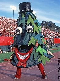 danabeers's tweet photo. I would like to drink beers with The Stanford Tree. Can we make this happen @Stanford https://t.co/ZKcyYN5v8V