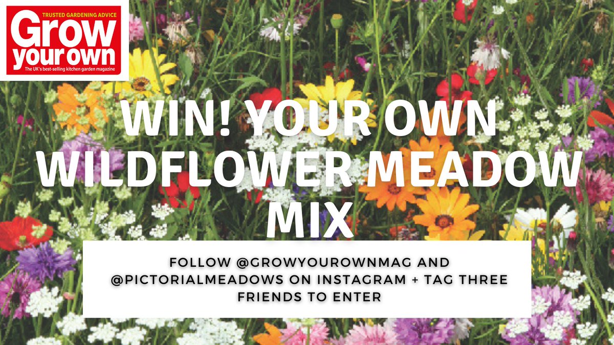 GYOmag's tweet photo. WIN! 
Enter our latest #sowforspring giveaway and you could win your own wildflower meadow seed mix from @PictorialMeadow
📣 TO ENTER: Head to our Instagram page for full details on how to enter! Good luck!
ENTER HERE: https://t.co/ssDmHZjlkH https://t.co/tkADiCZeAs