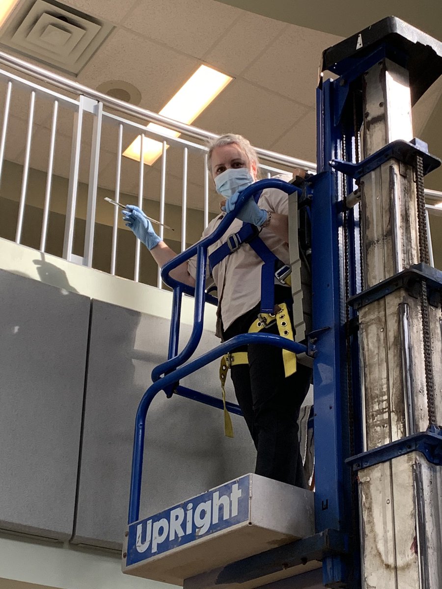 OwnerShane's tweet image. One of are great custodian crew members painting rail today at Holy trinity
