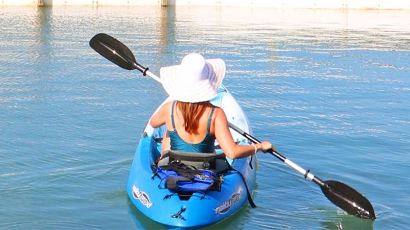 This year's resolution - take up a new hobby. #diveinto2021 bit.ly/34tGUdG