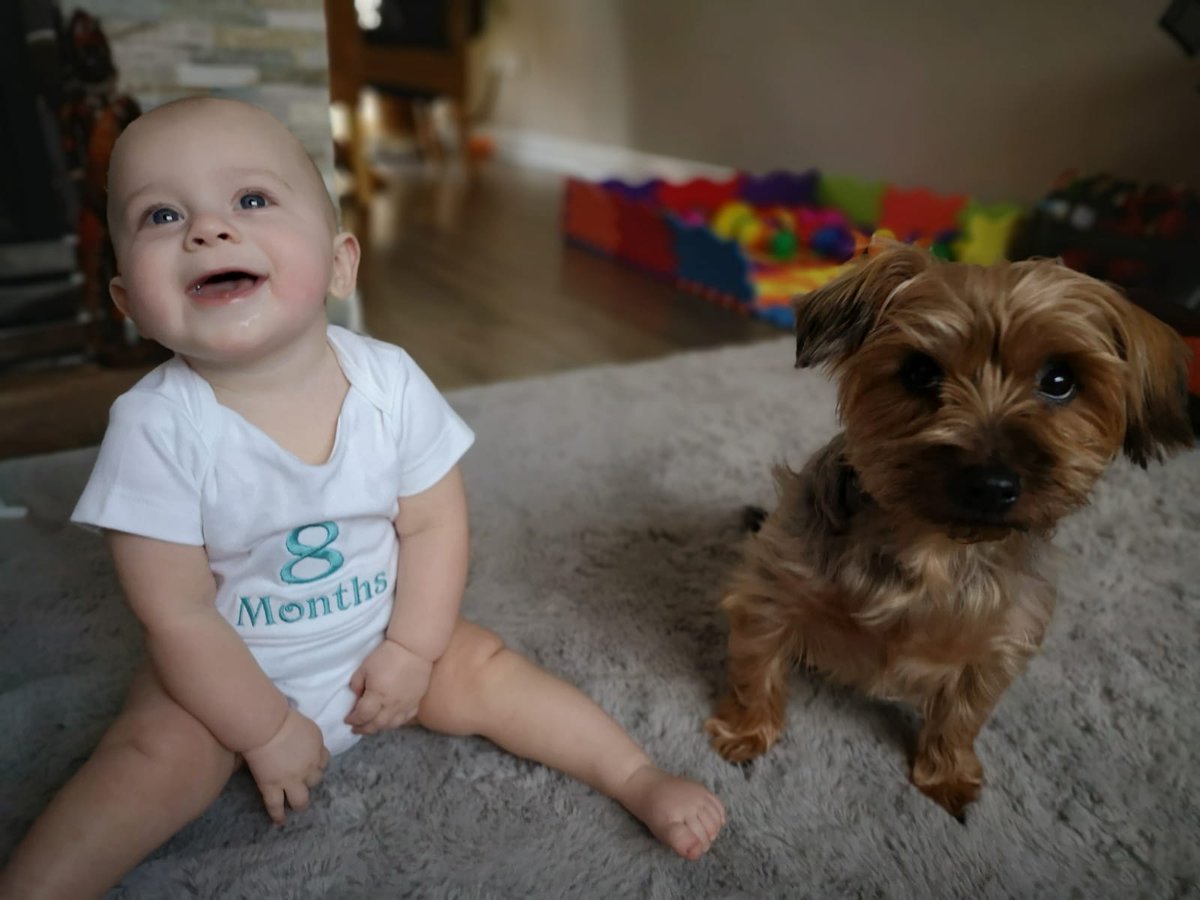 Kirsten Bechard tweet media