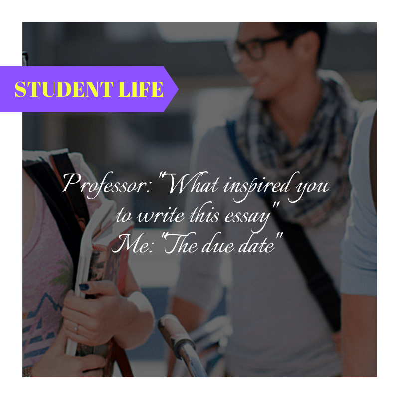 Essayswriting_'s tweet photo. Professors are so intelligent, but sometimes they ask such silly questions  😄
._._._.
#essayswriting #essayswriting_org #school #University #collegestudent #studentsuccess #studentlife #studenttips #fun #joke #jokes #typicalstudent #Monday #mondaythoughts #MondayMorning #monday https://t.co/SOcBOEX7Dd