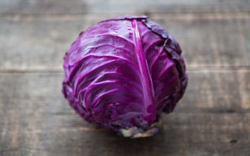 Fck it taeyong as cabbage- a thread