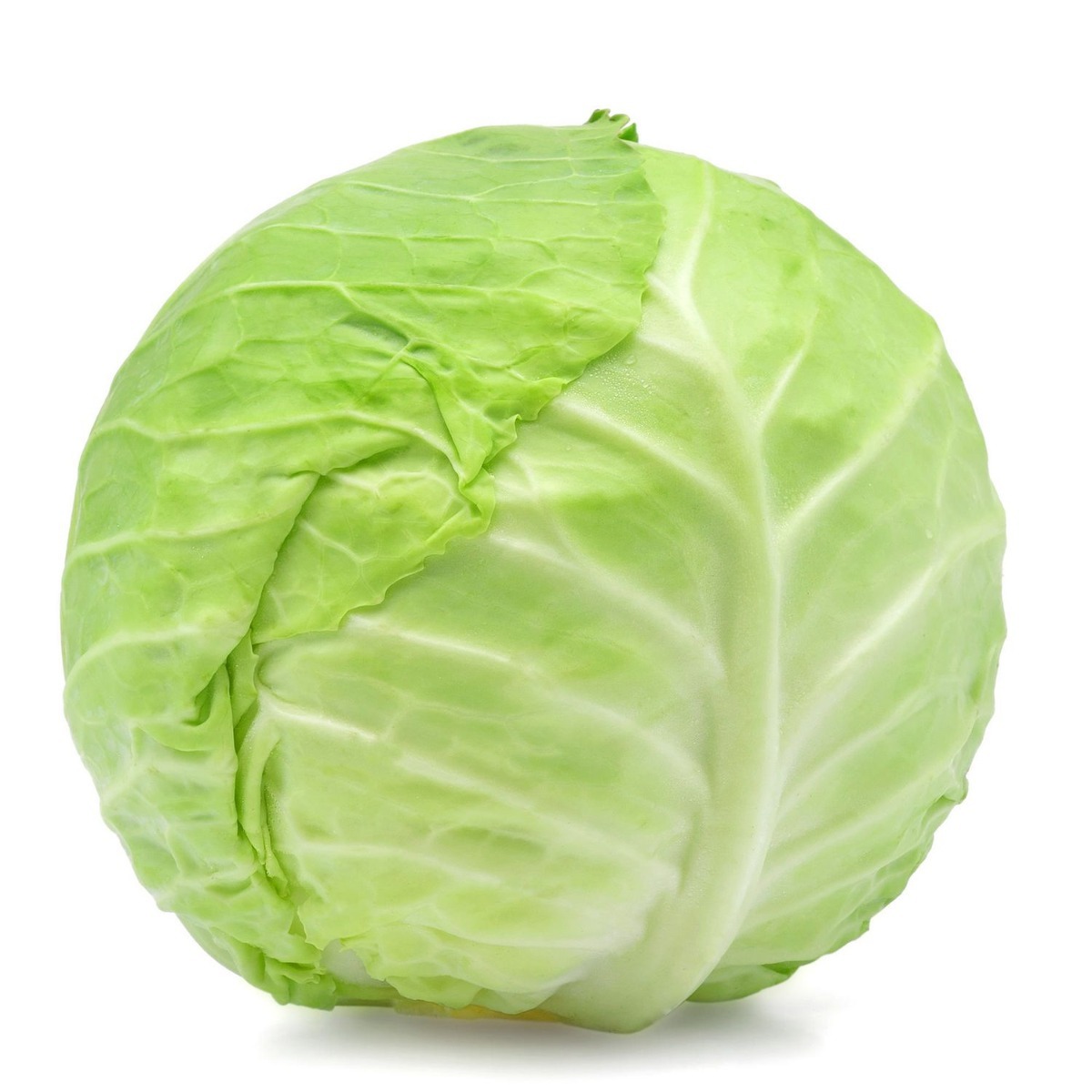 Fck it taeyong as cabbage- a thread
