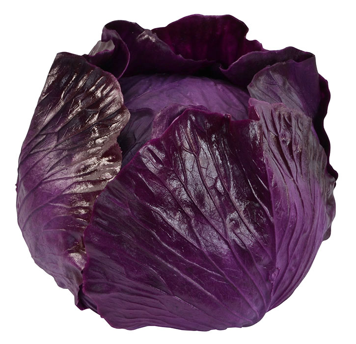 Fck it taeyong as cabbage- a thread