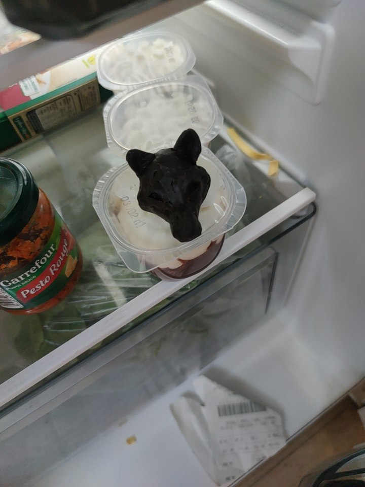 EbibiGlass's tweet photo. Je vais aussi avoir des têtes de Natsu dans le frigo #cnormal https://t.co/P6IfyfQXdb