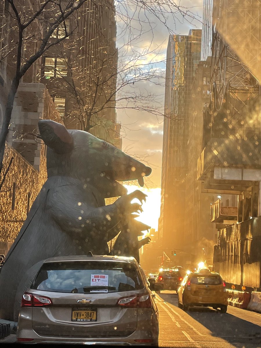 EamonCarey3's tweet photo. As the sun rises on NYC #UnionCarpenters are #ShiningALight on ⁦@AECOMTishman⁩ ⁦@WaldorfNYC⁩ and #CheatingTridentGC https://t.co/3iuZD1MUfC