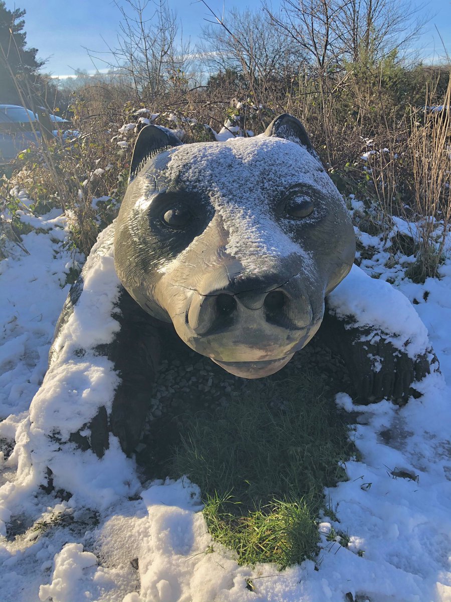 GaviganGL's tweet photo. Winter filming for @WTSWW is snow much fun! πβοΈβοΈ #WildlifeWatch #ValleysRegionalPark #ParcSlip #BuildABirdBox #LockdownActivities https://t.co/Ju6KI7GIhR