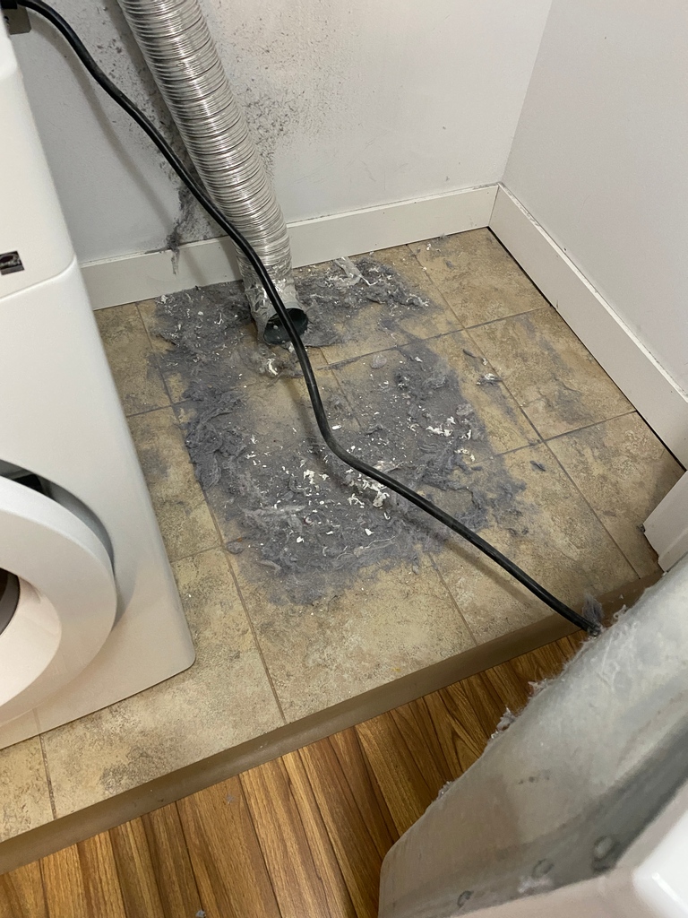 Had a cleaning last week where we went to clean the laundry room and noticed that the vent hose wasn't even connected to the dryer. Got that cleaned, connected and working properly. 

greenhauscleaning.com/request-a-quot…

#GreenHausCo #GreenHausCleaning
