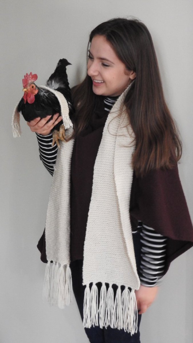 RobynSkvorak's tweet photo. @FionaDolman I don’t have a cat, how about a mini rooster? My daughter taught herself to knit over break so she knit matching scarves for her &amp; her rooster. https://t.co/GgEMD61njN