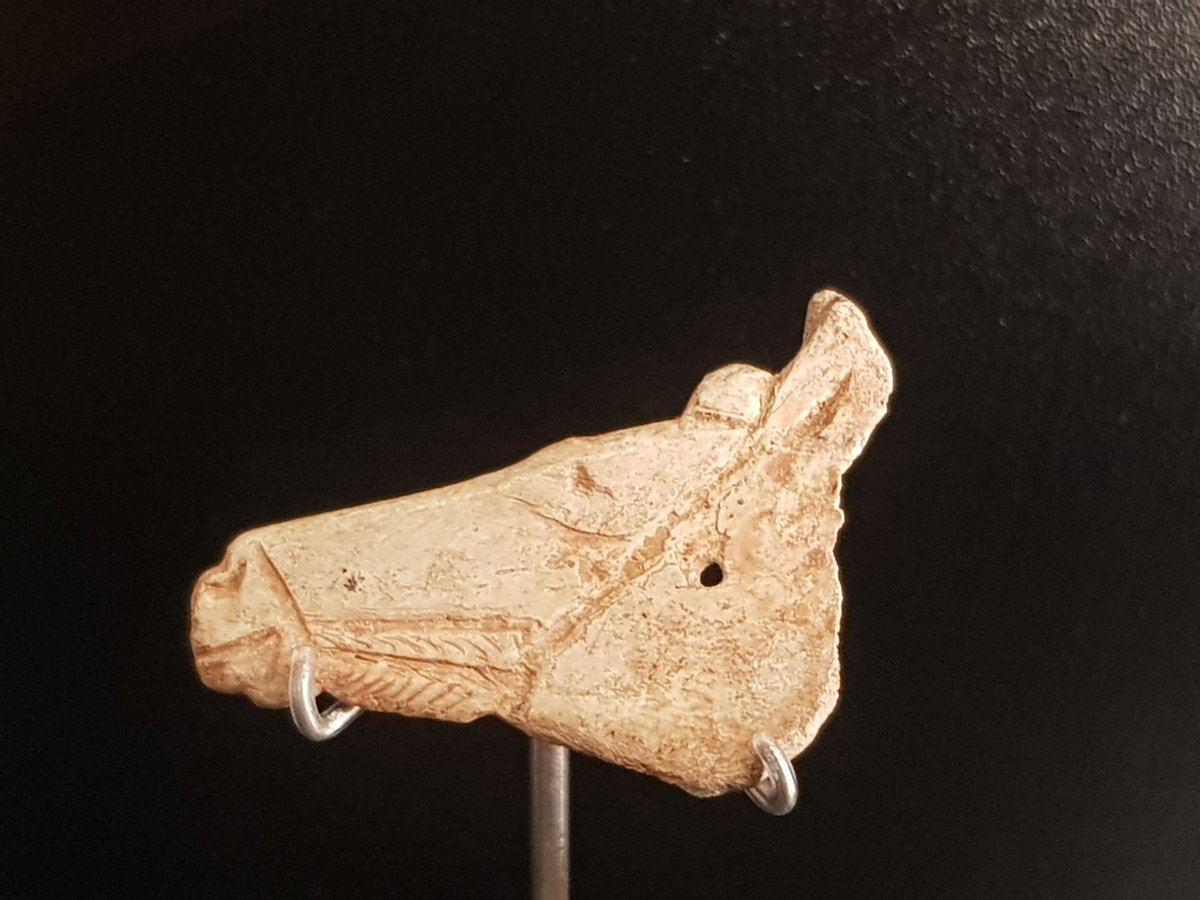 peinadormarta's tweet photo. Disfruta de la #exposición #ArtPrimer Artistas de la #prehistoria en el @macarqueologia Y si no puedes ir a #Barcelona descúbrela en su web #museos #arqueología #ExposicionesDigitales  https://t.co/bsx6kno08s https://t.co/GuO47ysw8a