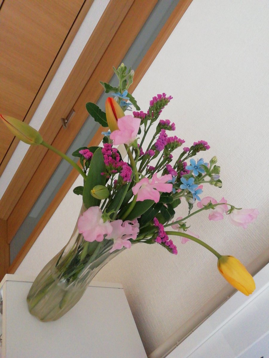 中嶋順子 なかしまじゅんこ Jj福岡フリーアナ على تويتر わが家に春が来たよ 金曜日に今月2回目の宅配で届いたの チューリップちゃん スイートピーちゃん ブルースターちゃん スターチスちゃん ようこそ 一足早い春をありがと う 春が来た 花のある暮らし