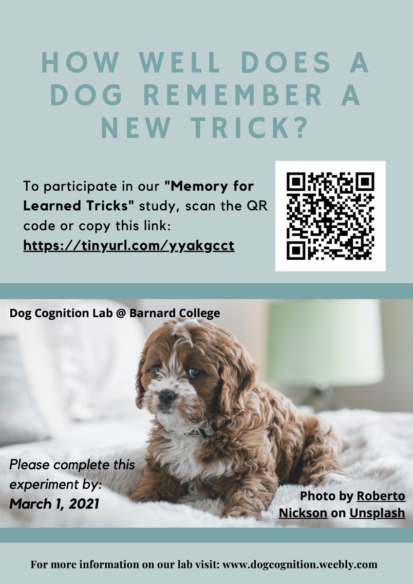dog_cognition's tweet photo. we're super excited to open FOUR new studies for dogs &amp; their people (and in one case, their cat) today. 
At home, for Science! https://t.co/U5ZPpuTLM2