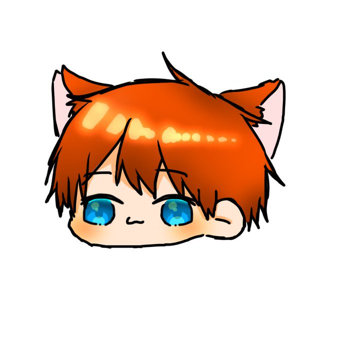 ぽこにゃん ぽこにゃん