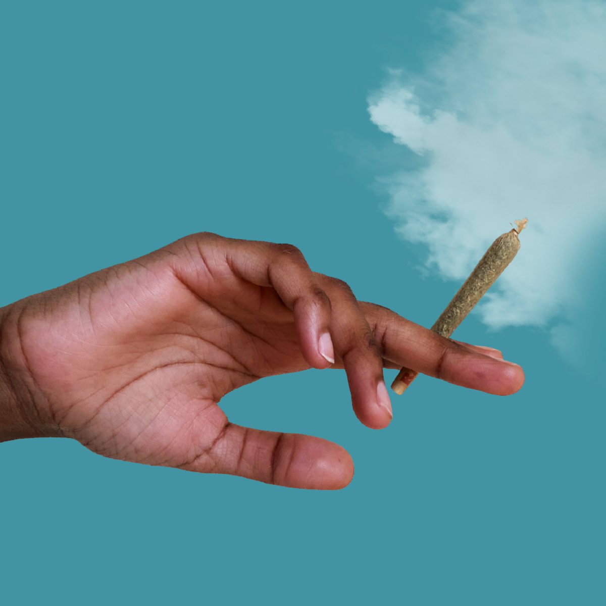 Saturday Cannabis tweet media