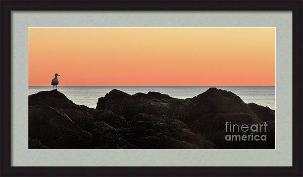 'Waiting 2' maurice-hebert.pixels.com/featured/waiti… - #Ocean #Sea #Sky #Gull #Sunrise #Morning #Dawn #Waiting #PhotoArt #photography #photo #Fineart #FinePrints #fineartforsale #BeachLife #Beach #Gull #Seagull #Alone #Coastal #Maine #NewEngland #CottageArt #BeachArt #HomeArt #WallArt #HomeDecor