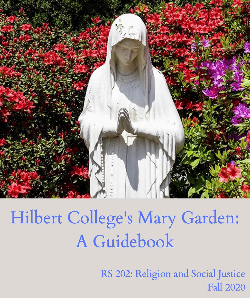 hilbertreligion's tweet photo. Religion students @HilbertCollege completed two important #servicelearning Guidebooks to support @CityMission and our college's commitment to #CareForCreation. Check out #TheHilbertDifference!
https://t.co/qjNzZttT0w
https://t.co/hnM39uEDRb https://t.co/DvSIz7Ed4I