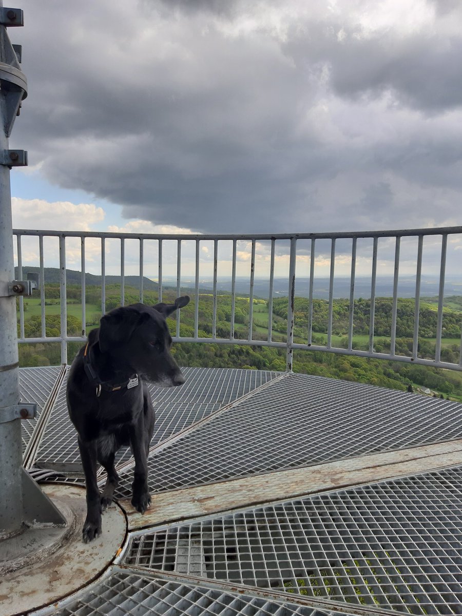 LongPlayBpm's tweet photo. @Jakubprazskej @Furchur1 @Jednobunecna @vareckou Jeden ze stovek vejletů, který spolu máme za 7 let za sebou #Majda #BestFriend https://t.co/kcUFJg8jmy