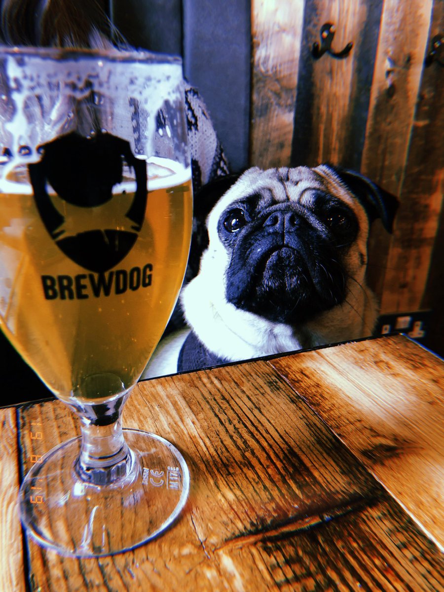 1985Jam's tweet photo. @BrewDog @BrewDogYork 💘 https://t.co/H9cQWHaS7h