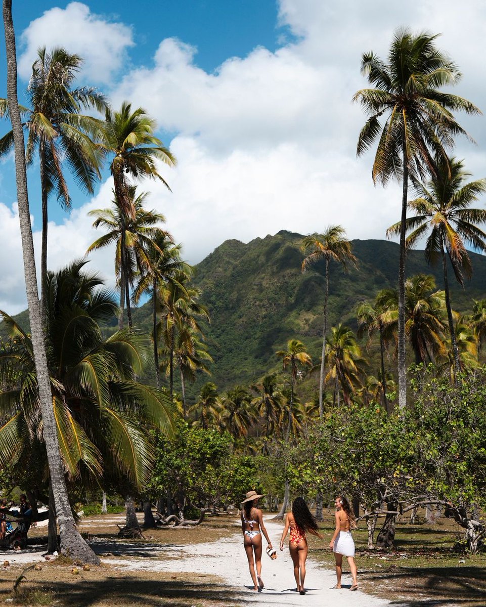 Reef_Chile's tweet image. No existen días aburridos para nosotros🌴

Descubre todo nuestro catálogo Reef Verano 2021 en Tiendas @StreetmachineT , @tiendas_paris y en los principales distribuidores a lo largo del país.

#BeachFreely #REEF