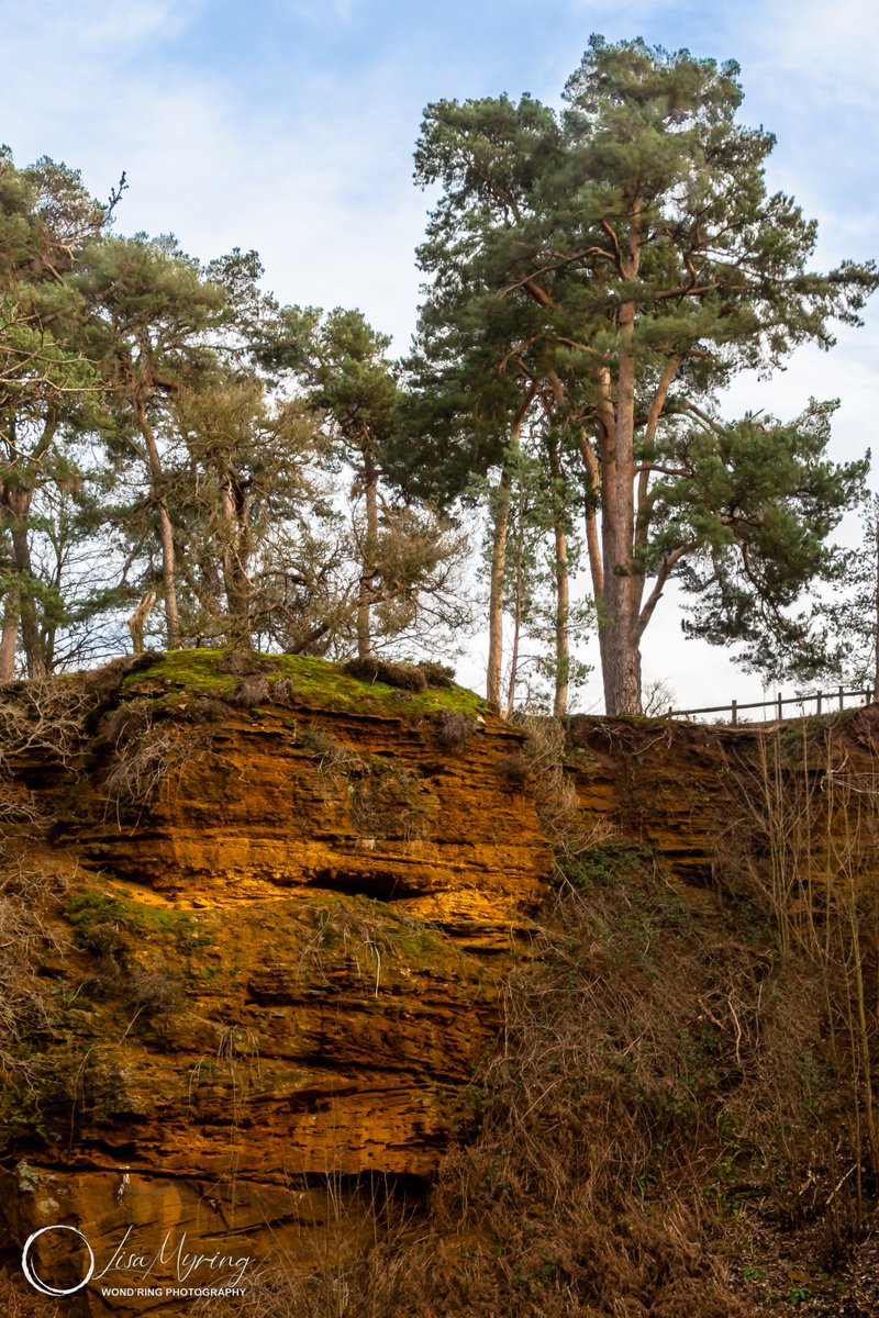 lisamyring's tweet photo. Sandstone Trees, RSPB The Lodge
https://t.co/VUpbTCQJIE
#nature #naturephotography #landscape #landscapephotography #natureuk #sandstone #oldquarry #trees #rspb #rspbthelodge #bedfordshire #sandy #pentax #pentaxks2 https://t.co/D64O2s0pb2