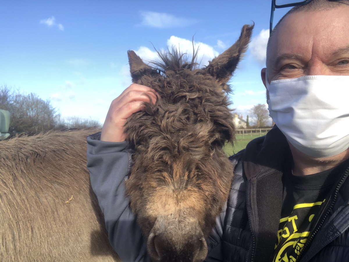 When you go out filming and you make a friend. #filmmaker #documentarymaker #donkey