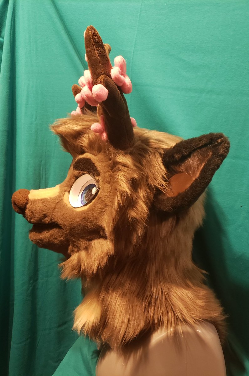 vilesuits's tweet photo. Skyz the deer for @SkyzTheDeer 
#furry #FursuitFriday #fursuiter #fursuit #furrypride https://t.co/wiyChA8Q1I