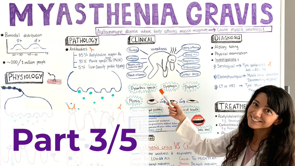 MedMints's tweet image. 🎥✨ NEW VIDEO:

Neurology | Myasthenia Gravis - Clinical Presentation | Part 3/5

Link: youtu.be/lhOdvHPlLZk