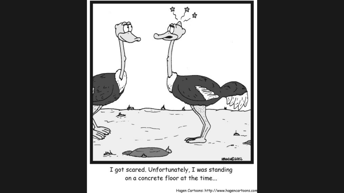 ConcreteOntario's tweet image. #StartWithASmile #ThankYouFollowers
#MondayMornings   #MondayFunday #HaveASafeWeek

A teaser for next month&apos;s topic spotlight:  
✨✨ February - Floors &amp;amp; Flatwork ✨✨