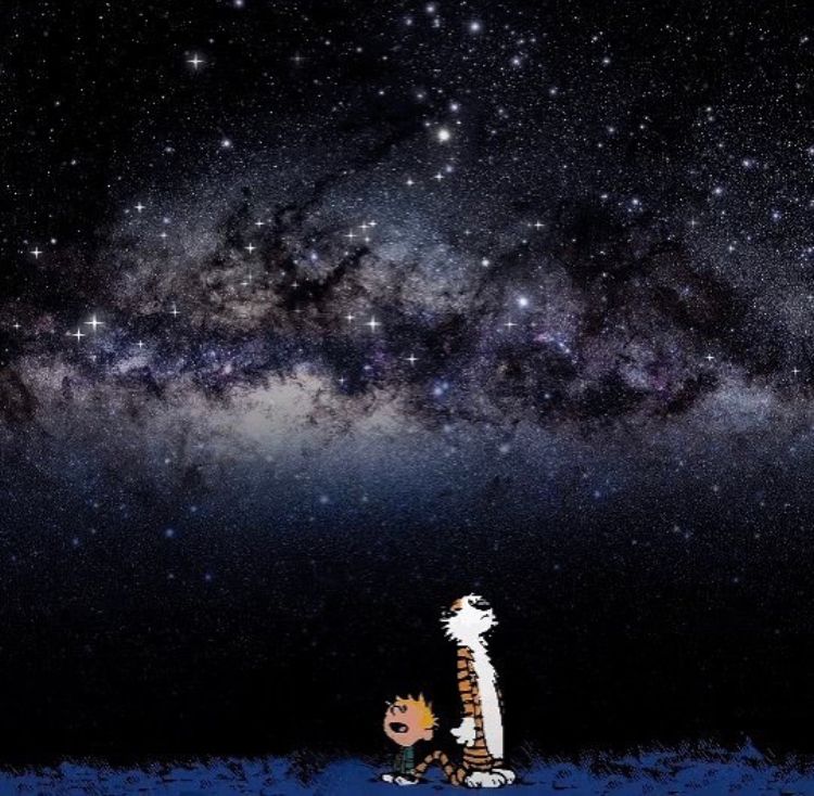 “If people sat outside and looked at the stars each night, I’ll bet they’d live a lot differently.” 🌌 #CalvinandHobbes