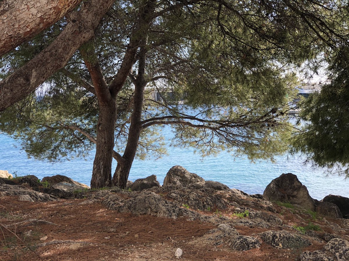 LadyHagua2's tweet photo. @SunshineAdorer Muy #lindos sitios tiene #Mallorca es una isla #bonita y #adorable al menos #yo la adoro #gracias por compartir !
๐ท๐ฆ๐๐ง๐ฝโโ๏ธ๐๐ฆ๐ฆ๐ท
#LadyHagua
#Visitmeplease
#La Reina de la #luz
#BidenHarrisInauguration https://t.co/gfCvzvM2dg