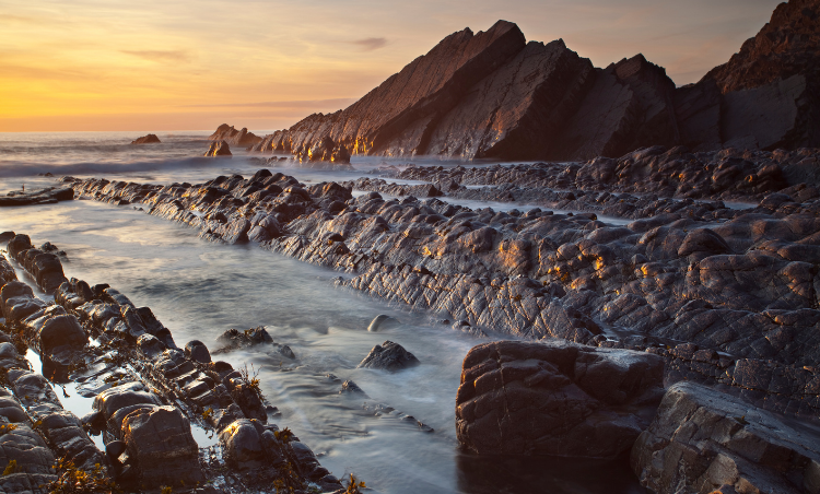 Visit Devon tweet media