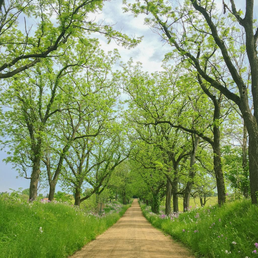Perspectives on the Road to Reentry: Here’s how businesses are deciding when to return, the steps they’re taking to ensure employee safety, and the long-term impacts on office design &amp; real estate: spr.ly/6013Hb1Nc #sustainability #workplacedesign #greenbuilding <a href="/USGBC/">USGBC</a>