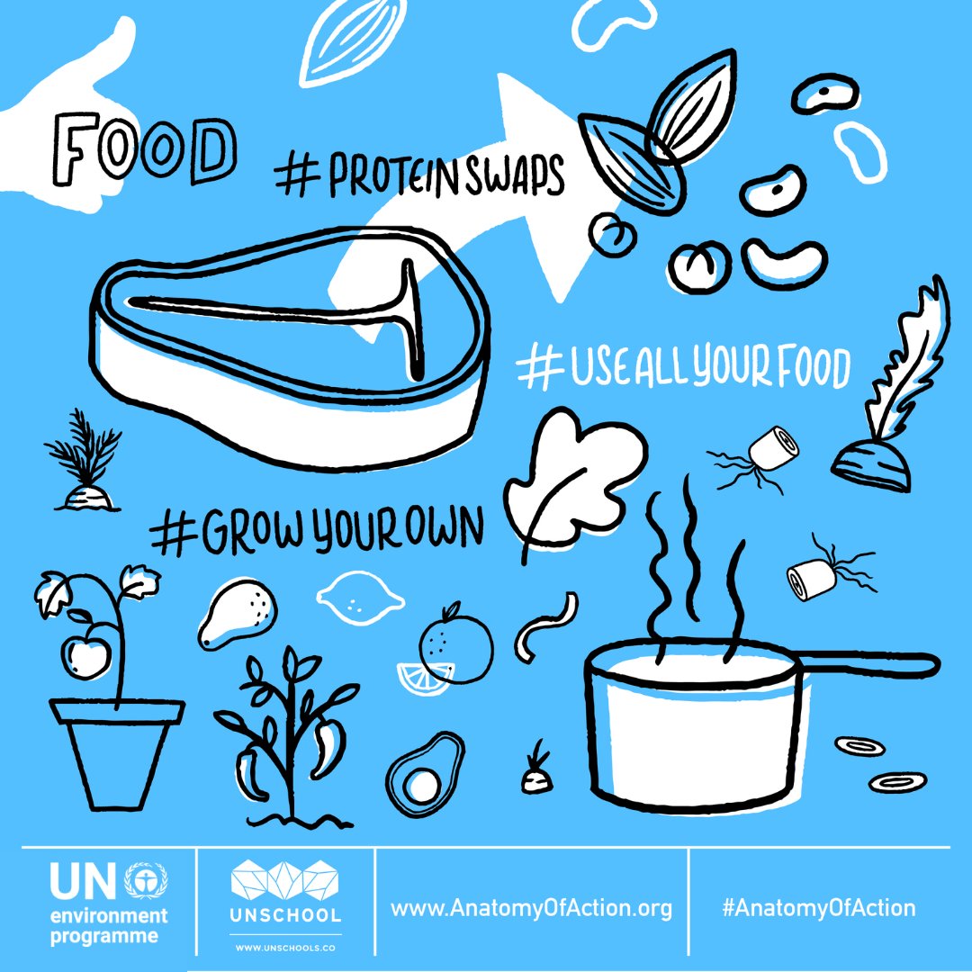 angafellowship's tweet photo. Day 1 of the #AnatomyofAction challenge
Today's action challenge is #proteinswaps🐟🍄🥦

Do you know that swapping meat-based meals for meals with proteins from other sources reduces negative environmental impacts AND is good for your health? https://t.co/k4PBNYxa7s https://t.co/Wy7D7Rxuoh