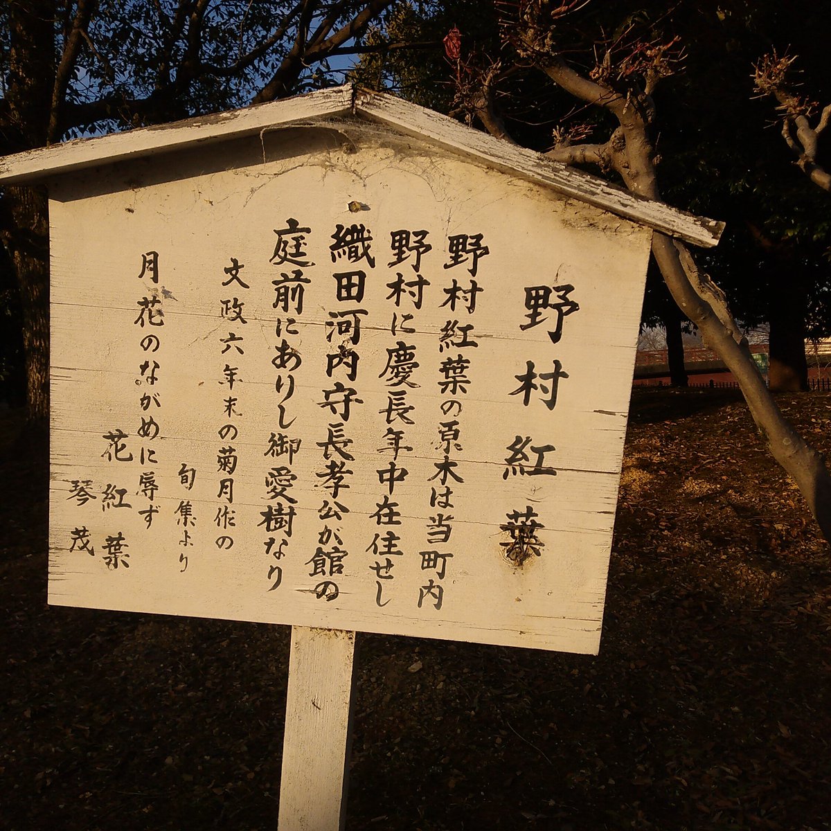 織田有楽斎