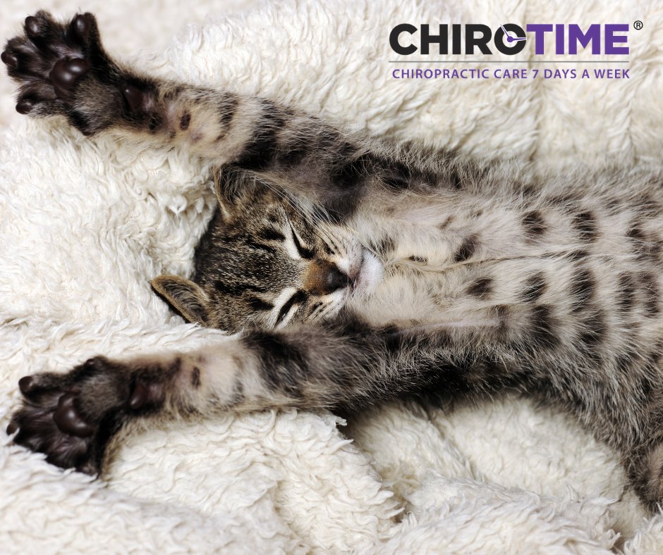 ChiroTimeUSA's tweet photo. Stretching reduces muscle tension, promotes circulation, and can even help improve posture. #ChiroTime #Chiropractors atlanta #DrDawn https://t.co/HT9FFIFtvb