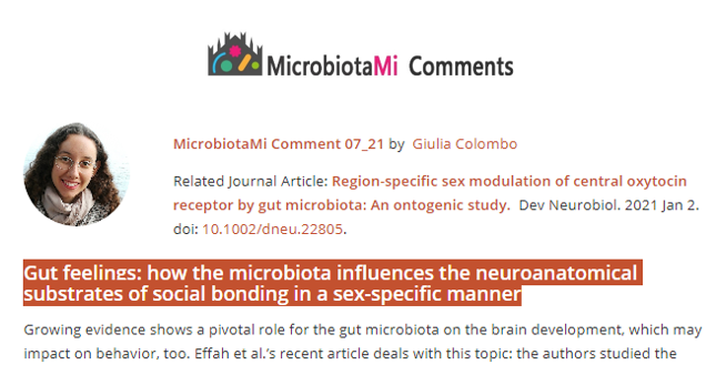 #MicrobiotaMiComment by Giulia Colombo "Gut feelings: how the #microbiota influences the neuroanatomical substrates of social bonding in a sex-specific manner"
<a href="/07GiuliaColombo/">Giulia Colombo</a> microbiotami.com/2021/01/25/gut…