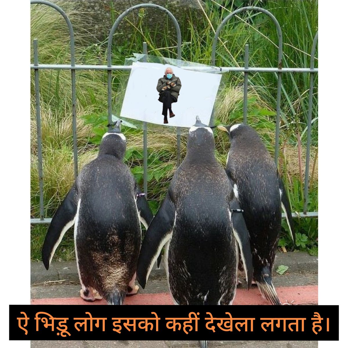 jd_Sparr0w's tweet photo. बर्नी बाबा 😳😁
#BurnieSanders https://t.co/7cEuFwoK7E